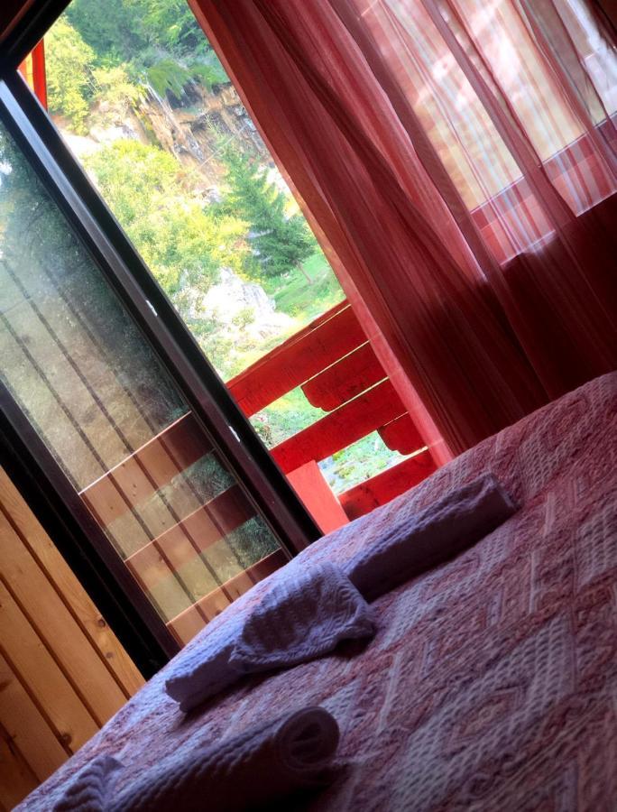 Deea Cascada Vila Vidra  Exterior foto